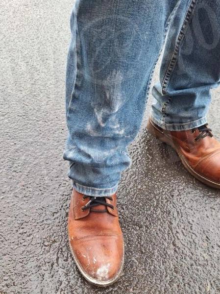 Воскресным днем в Петербурге падает не только снег Воскресным днем в Петербурге падает не только снег