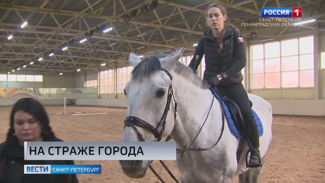 Общественный порядок Петербурга охраняет конная полиция