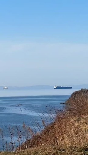 Марат Баширов: Стоят и не скрываются. И не боятся