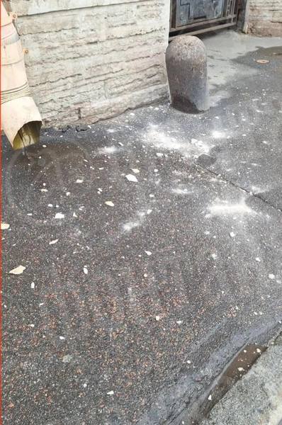 Воскресным днем в Петербурге падает не только снег Воскресным днем в Петербурге падает не только снег