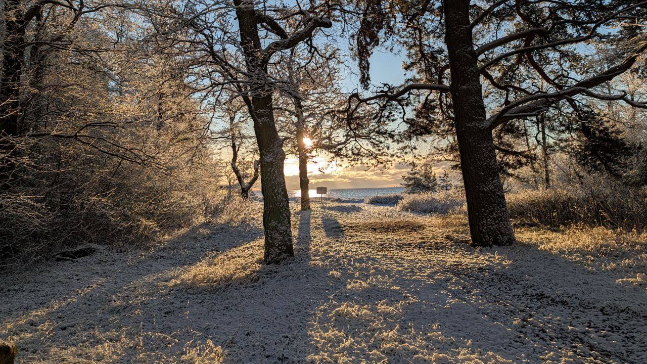 В выходные у нас прошел первый снегопад. И сегодня на дорогах всю ночь работала техника и сотрудники коммунальных служб. Отдельное внимание уделили очистке пешеходных дорожек, тротуаров, подходов к остановкам общественного... В выходные у нас прошел первый снегопад. И сегодня на дорогах всю ночь работала техника и сотрудники коммунальных служб. Отдельное внимание уделили очистке пешеходных дорожек, тротуаров, подходов к остановкам общественного...