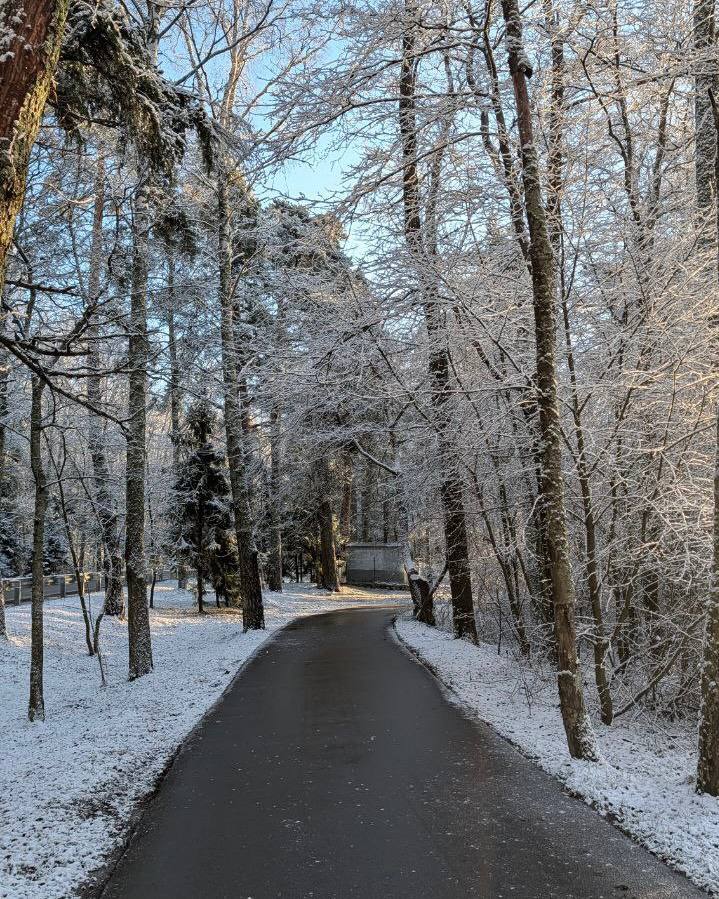 В выходные у нас прошел первый снегопад. И сегодня на дорогах всю ночь работала техника и сотрудники коммунальных служб. Отдельное внимание уделили очистке пешеходных дорожек, тротуаров, подходов к остановкам общественного...