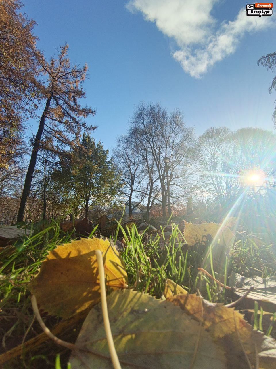 Любимые, пора взглянуть правде в глаза: тёплая осень — всё, впереди только холода Любимые, пора взглянуть правде в глаза: тёплая осень — всё, впереди только холода
