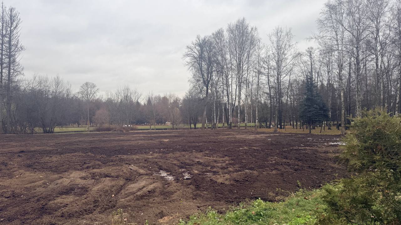 Территория снесенного Sport Palace на Крестовском острове полностью очищена, засыпана плодородной землей и весной станет частью Приморского парка Победы