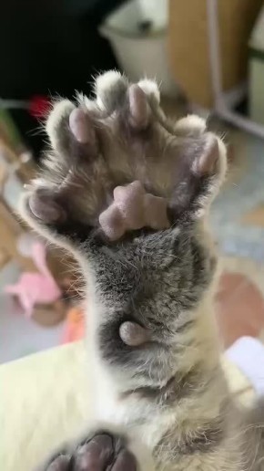 Михаил Онуфриенко: Пятюню и сладких снов.. @Mikle1On