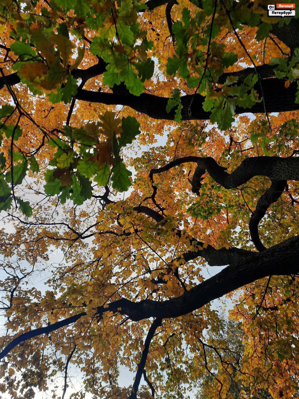 Любимые, пора взглянуть правде в глаза: тёплая осень — всё, впереди только холода Любимые, пора взглянуть правде в глаза: тёплая осень — всё, впереди только холода