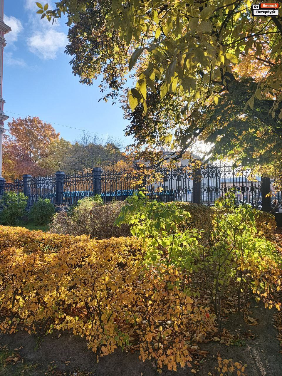 Любимые, пора взглянуть правде в глаза: тёплая осень — всё, впереди только холода Любимые, пора взглянуть правде в глаза: тёплая осень — всё, впереди только холода