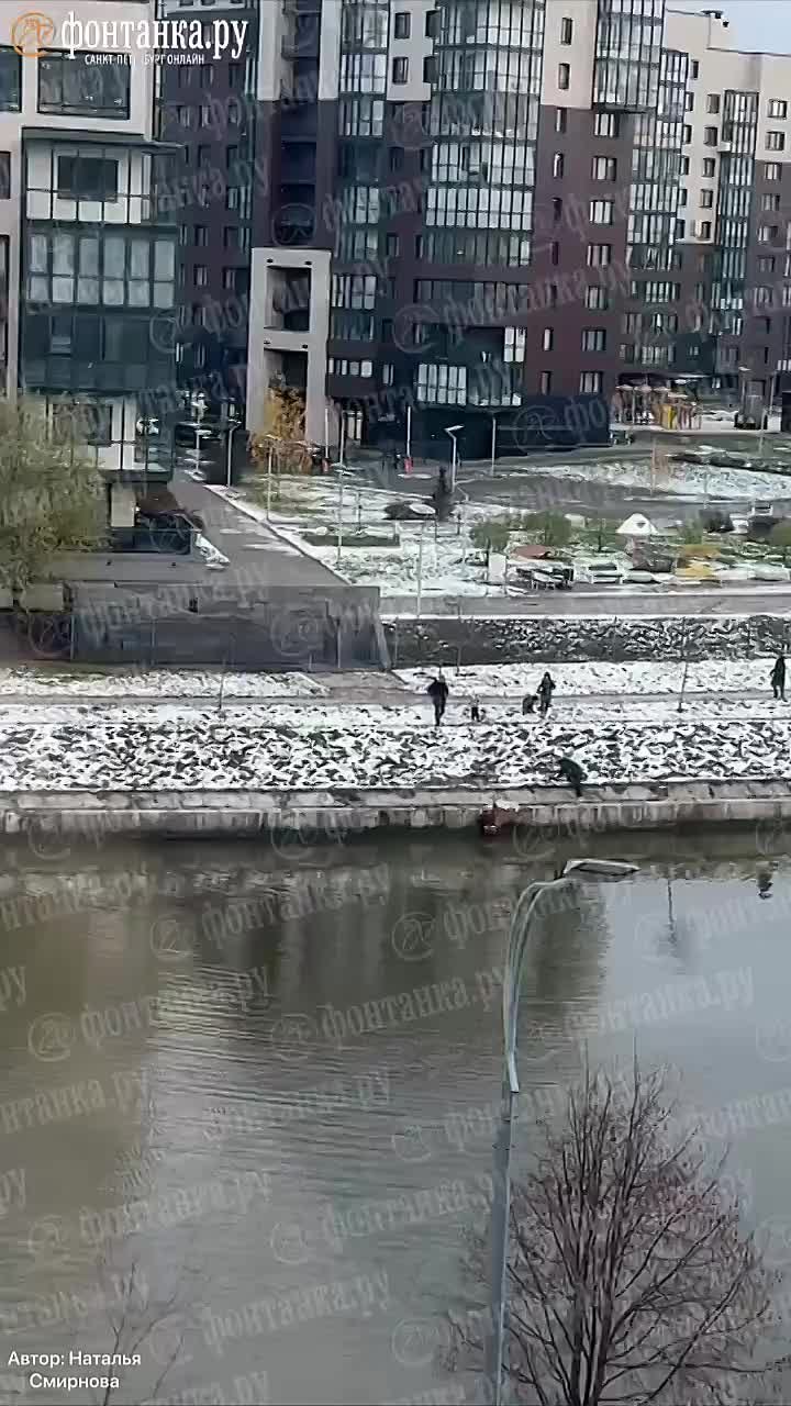 В Петербурге прохожая спасла маленькую девочку, упавшую в Матисов канал