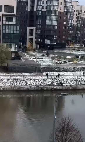 Женщина прыгнула в ледяную воду, чтобы спасти свою маленькую дочь