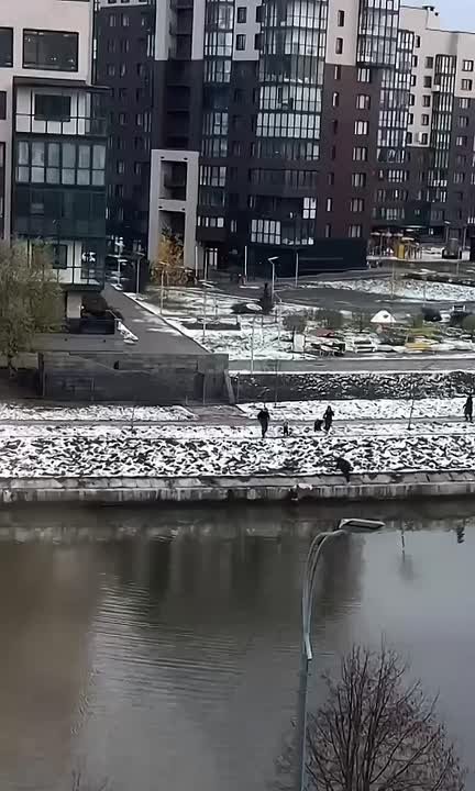 Женщина прыгнула в ледяную воду, чтобы спасти свою маленькую дочь