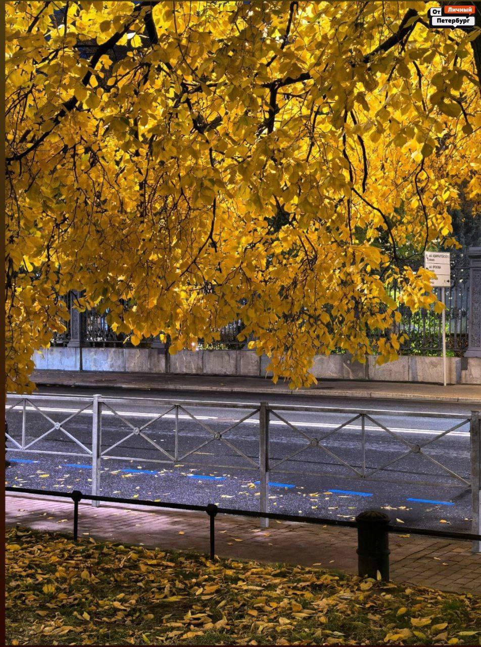 Любимые, пора взглянуть правде в глаза: тёплая осень — всё, впереди только холода Любимые, пора взглянуть правде в глаза: тёплая осень — всё, впереди только холода