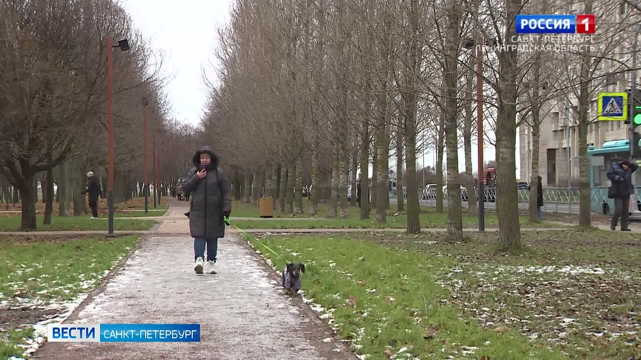 Синоптики обещают гололёд и мокрый снег