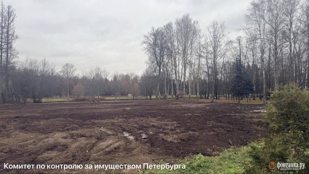 Sport Palace, сгоревший в прошлом году, окончательно снесли