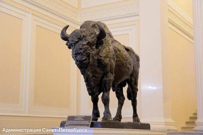 В дом Пашкова на Литейном проспекте вернулись зубры В дом Пашкова на Литейном проспекте вернулись зубры