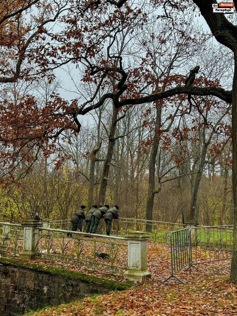 Любимые, пора взглянуть правде в глаза: тёплая осень — всё, впереди только холода Любимые, пора взглянуть правде в глаза: тёплая осень — всё, впереди только холода