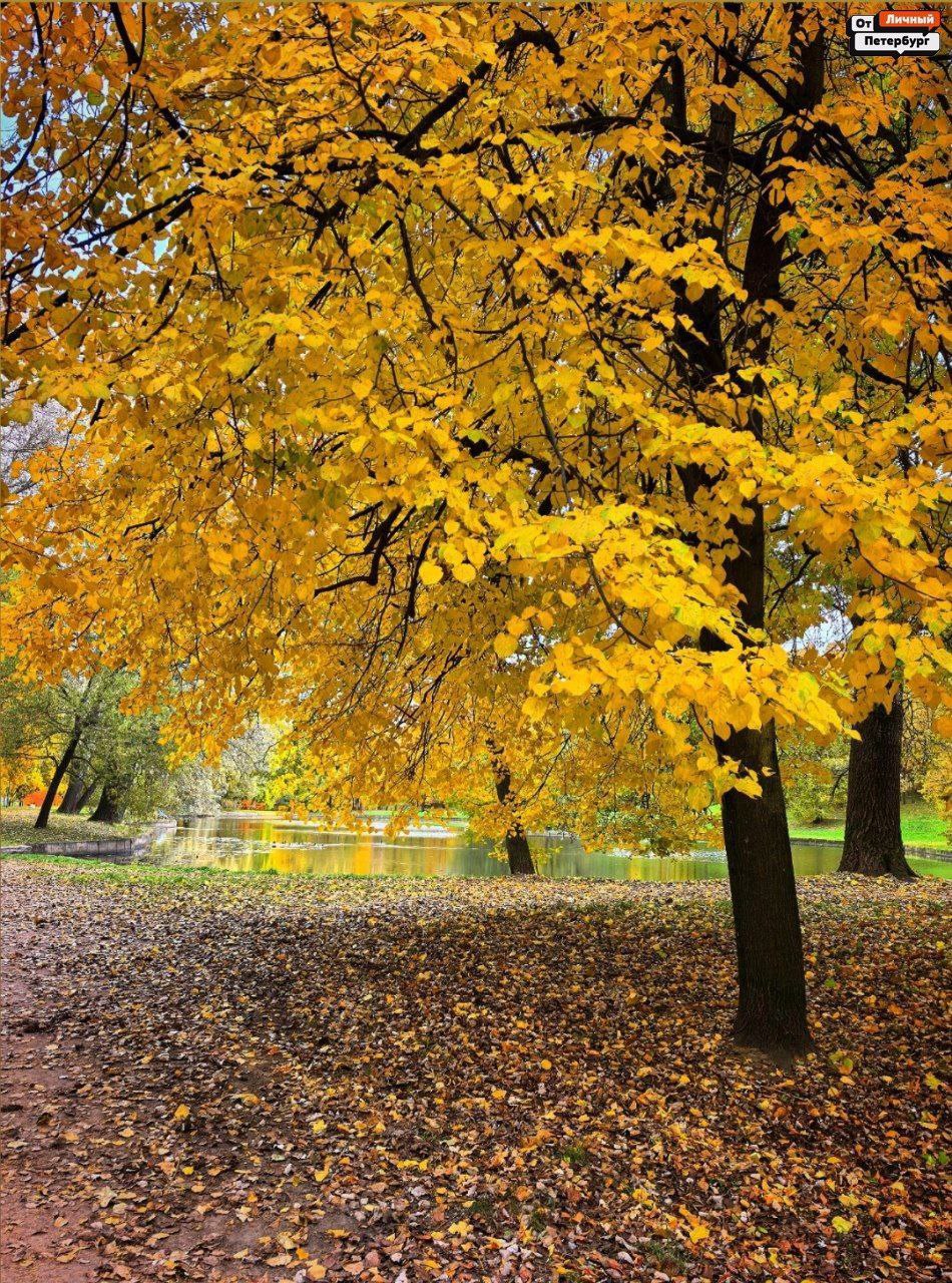 Любимые, пора взглянуть правде в глаза: тёплая осень — всё, впереди только холода Любимые, пора взглянуть правде в глаза: тёплая осень — всё, впереди только холода