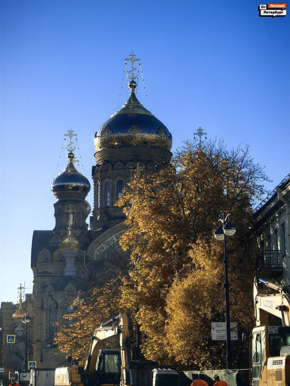 Любимые, пора взглянуть правде в глаза: тёплая осень — всё, впереди только холода Любимые, пора взглянуть правде в глаза: тёплая осень — всё, впереди только холода