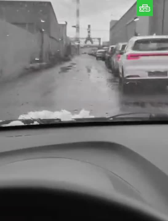 Петербуржец увидел одну из самых длинных очередей в шиномонтаж
