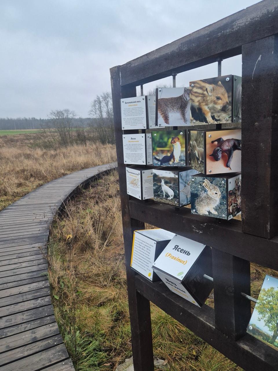 Геологический парк «Саблинские водопады» появится в Ленобласти Геологический парк «Саблинские водопады» появится в Ленобласти