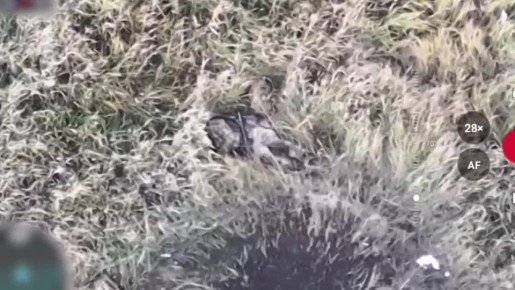 Александр Коц: Как «Гоша» и Саша ГУРовский десант в Покровске покрошили