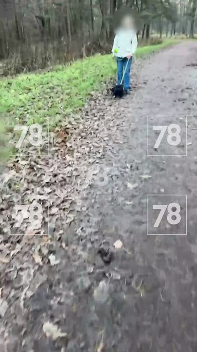 «Моя лошадь спасла меня от этой неадекватной собаки»: домашний пёс порвал грудь кобыле и прокусил сапог всаднице в Луговом парке