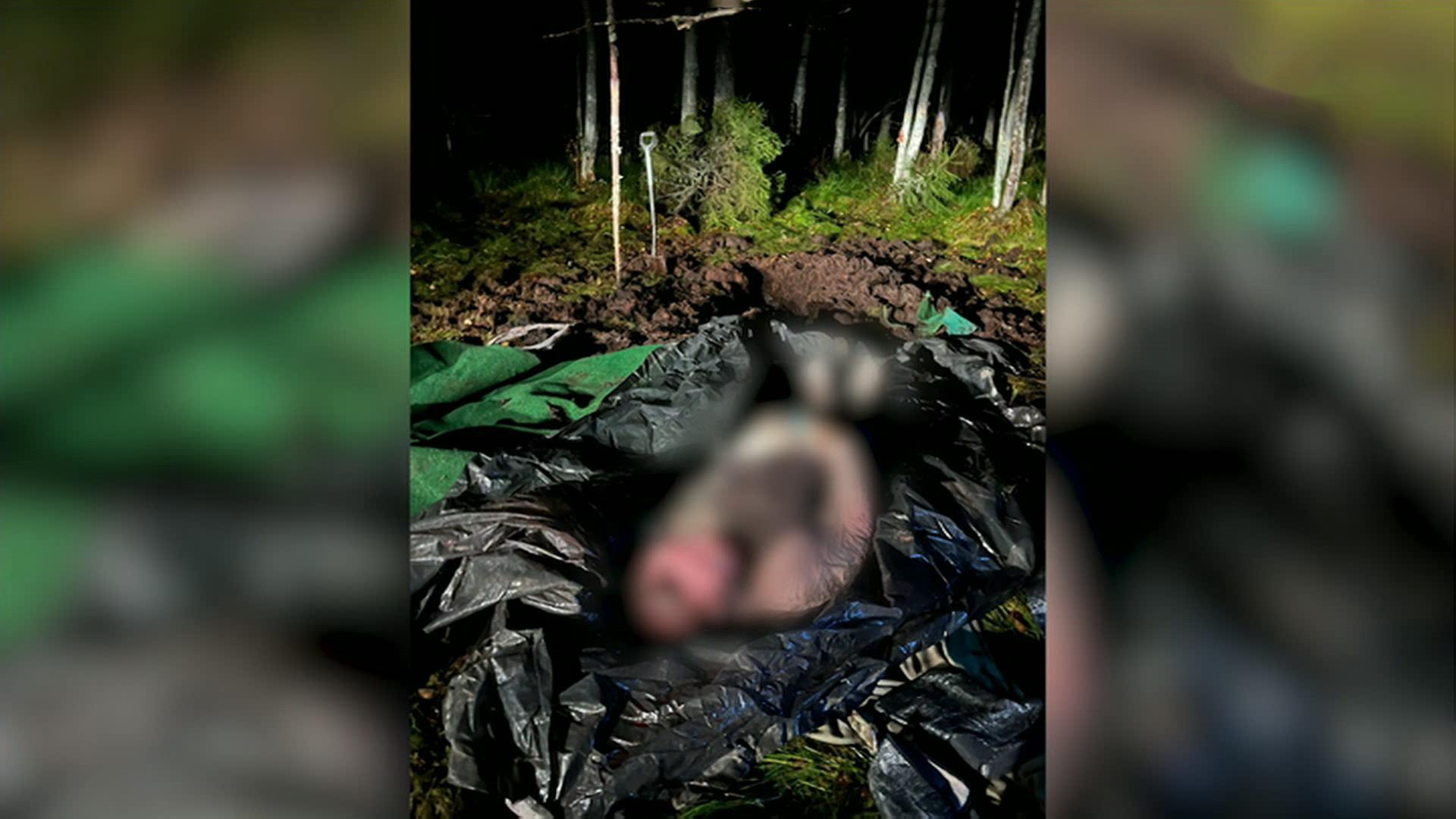 Новгородские следователи выясняют обстоятельства загадочного убийства коммерсанта из Санкт-Петербурга