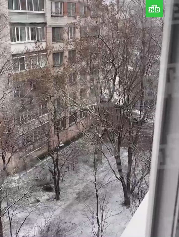 Снежок неспешно идет в Петербурге