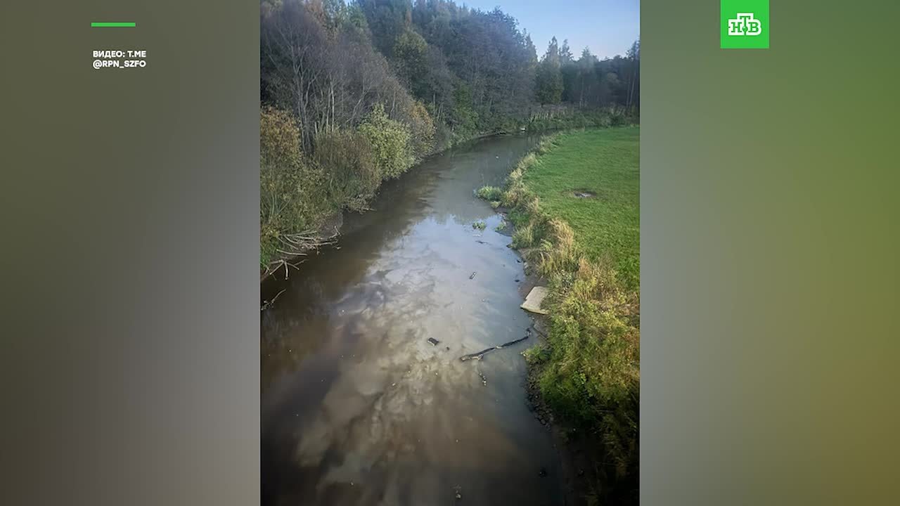 Следком возбудил уголовное дело в связи с экстремальным загрязнением Охты
