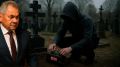 Покушение на Шойгу по заказу Зеленского: Пора сменить белые перчатки на ежовые рукавицы
