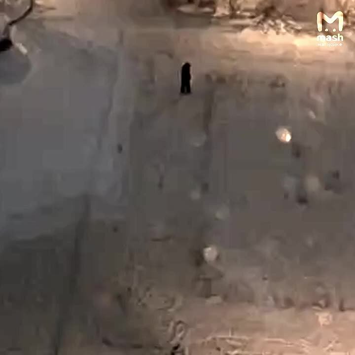 Поздравляем с первыми членами на снегу: традиционное народное исполнялово строго по расписанию — с первыми мини-сугробами в питерском дворе