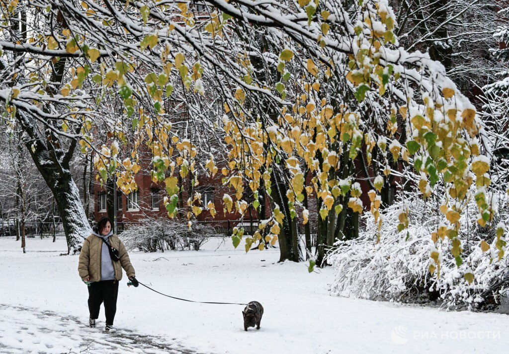 Снежный покров высотой до 5 сантиметров образуется в Петербурге к концу дня