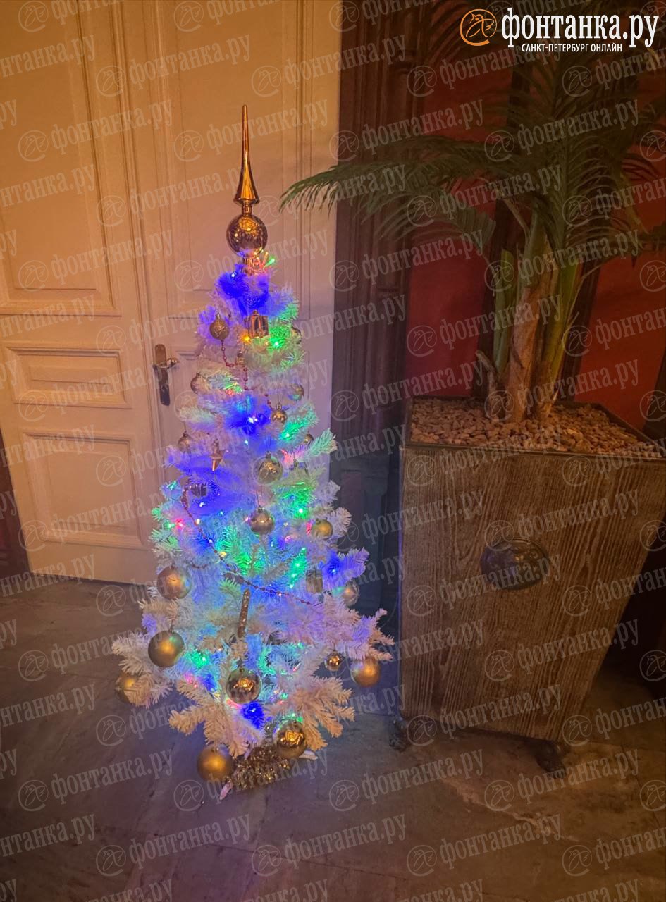 На севере диком стоит одиноко