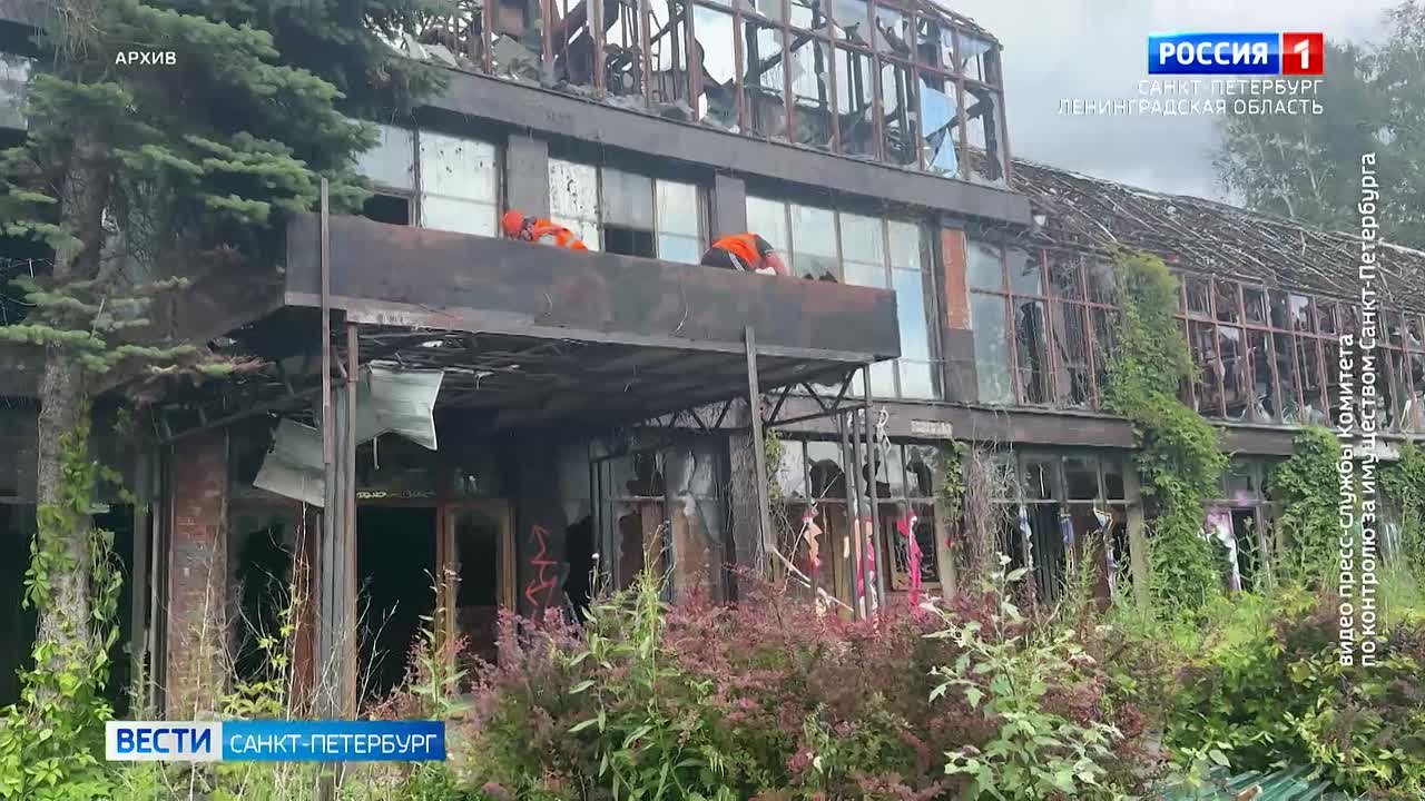 В Приморском парке Победы завершили демонтаж незаконного спорткомплекса