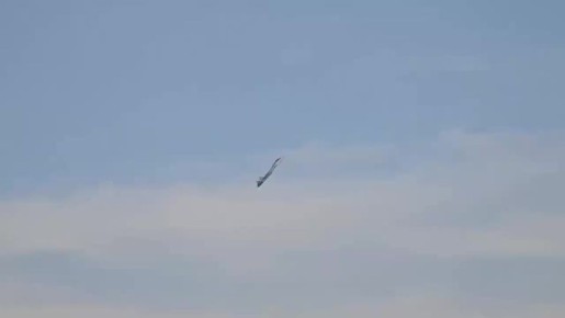  :  ..  -57   -  Dubai AirShow 2025