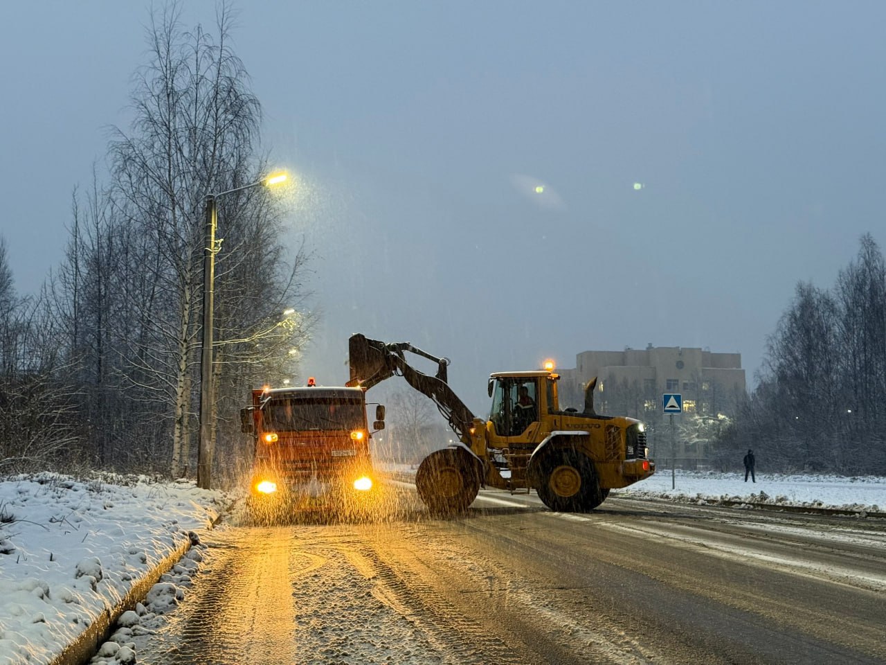 В Петербурге за сутки выпало около 4,5 см снега