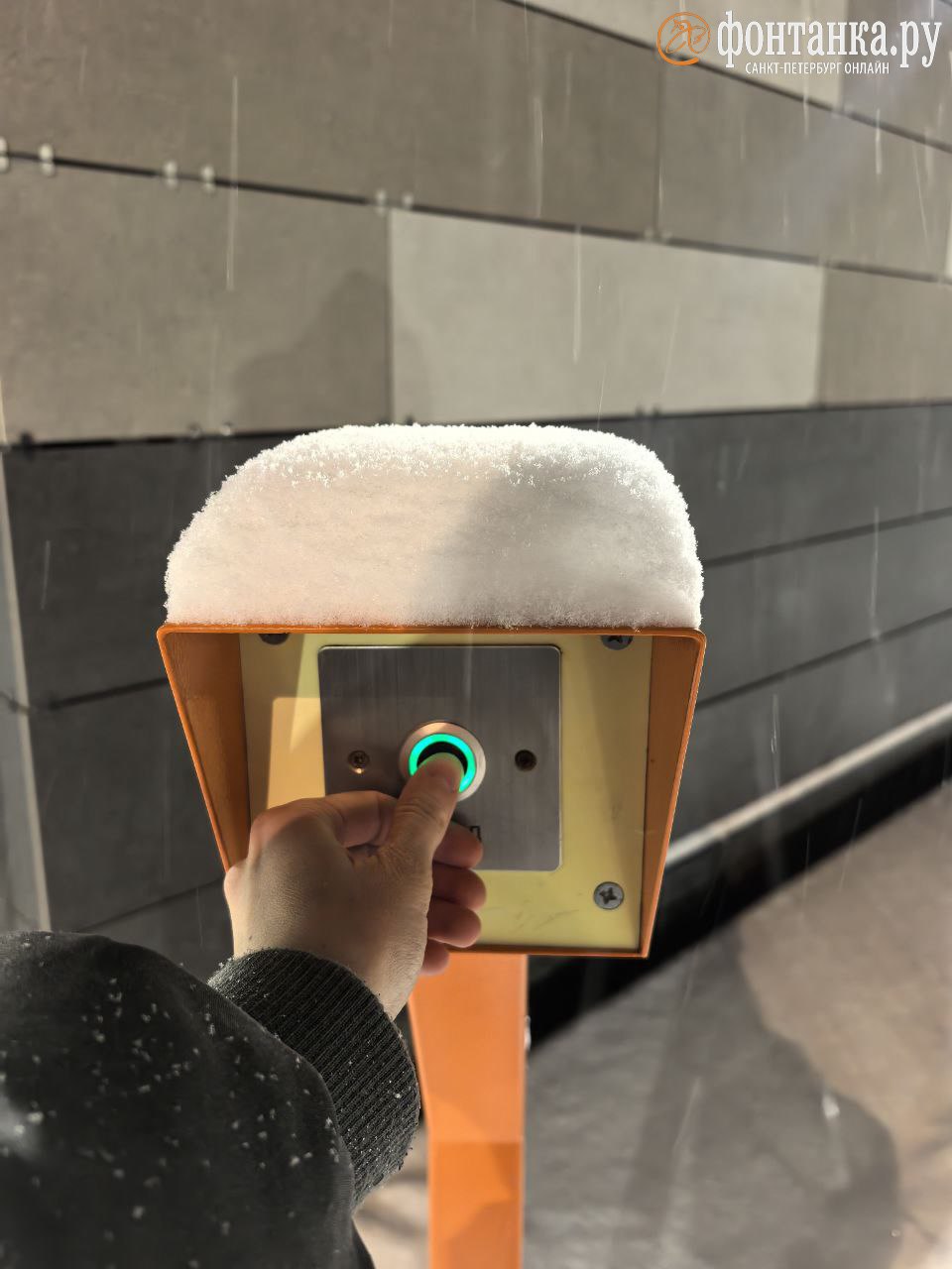 Природа — лучший художник. Неожиданная красота ноябрьского снега — в фотографиях петербуржцев Природа — лучший художник. Неожиданная красота ноябрьского снега — в фотографиях петербуржцев