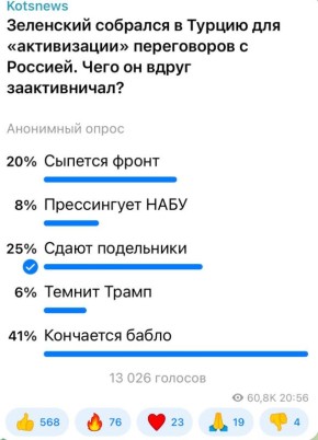 Александр Коц: 41 процент подписчиков считает, что у Зели заканчиваются деньги