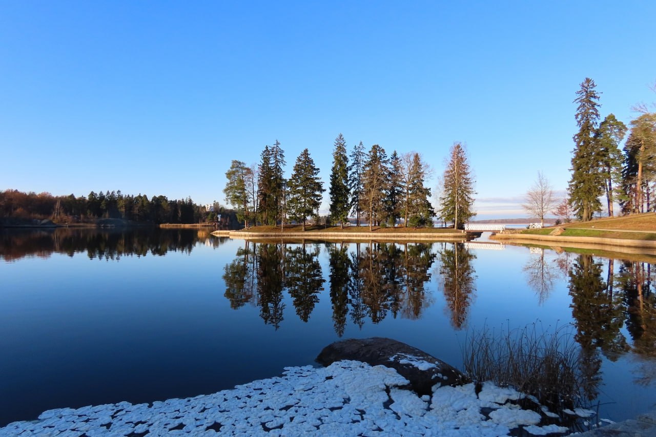 Мороз, ветер и течение "напекли" блинчиков в парке Монрепо в Выборге Мороз, ветер и течение "напекли" блинчиков в парке Монрепо в Выборге