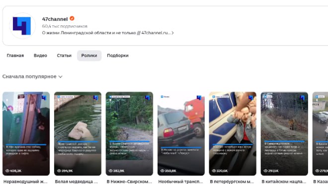 Канал 47channel в Дзене попал в пятерку лучших за октябрь