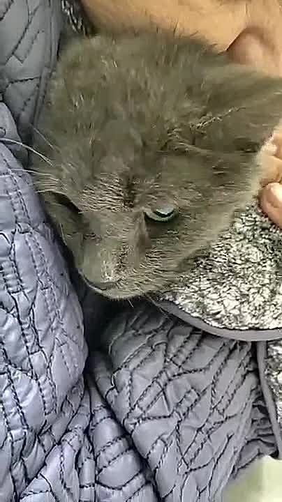 Юрий Баранчик: ХОЛОД У ПОРОГА - НАКОРМИТЕ!