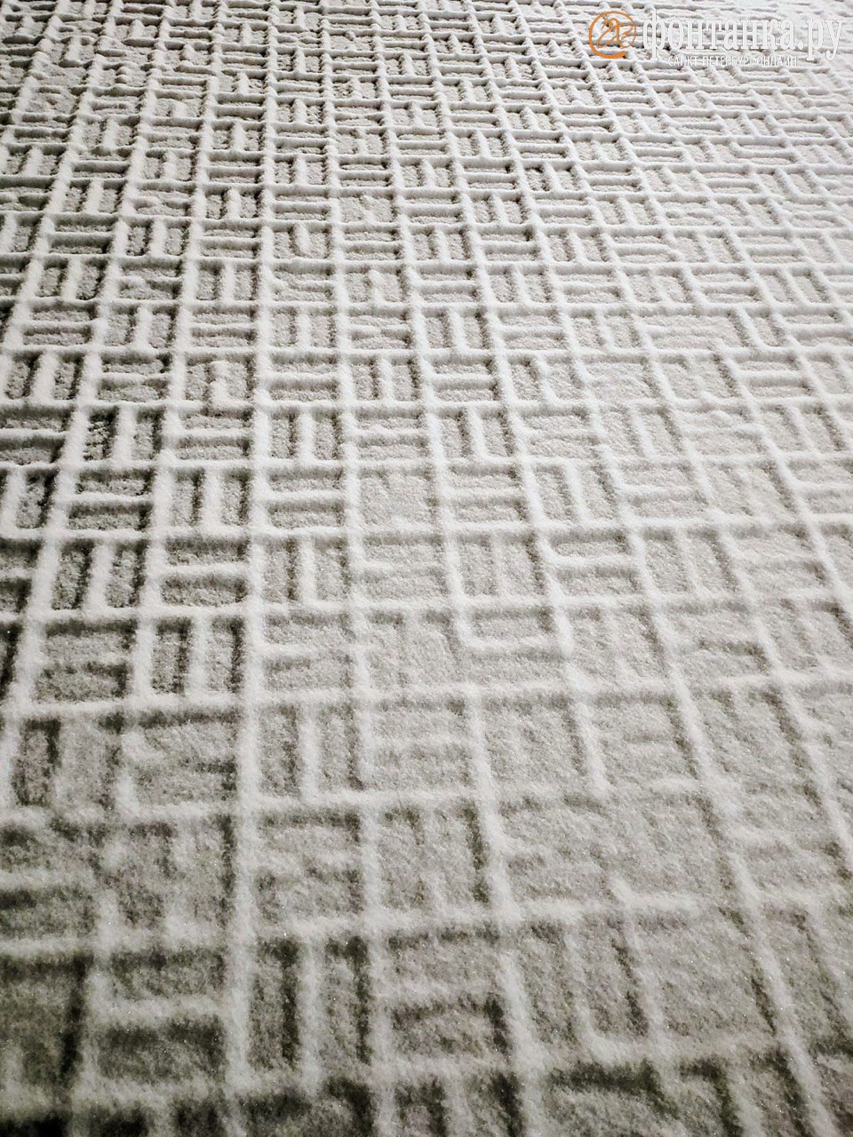 Природа — лучший художник. Неожиданная красота ноябрьского снега — в фотографиях петербуржцев Природа — лучший художник. Неожиданная красота ноябрьского снега — в фотографиях петербуржцев