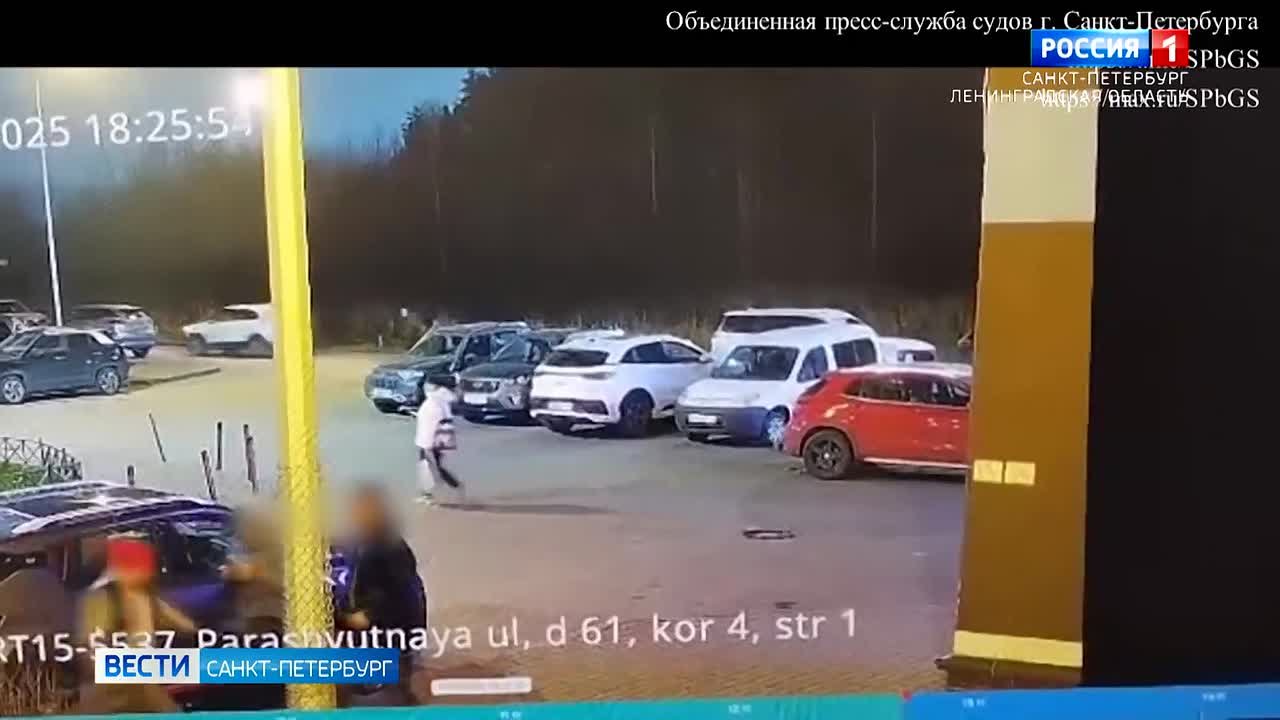 Суд арестовал дебошира с собакой после нападения на прохожих на Парашютной