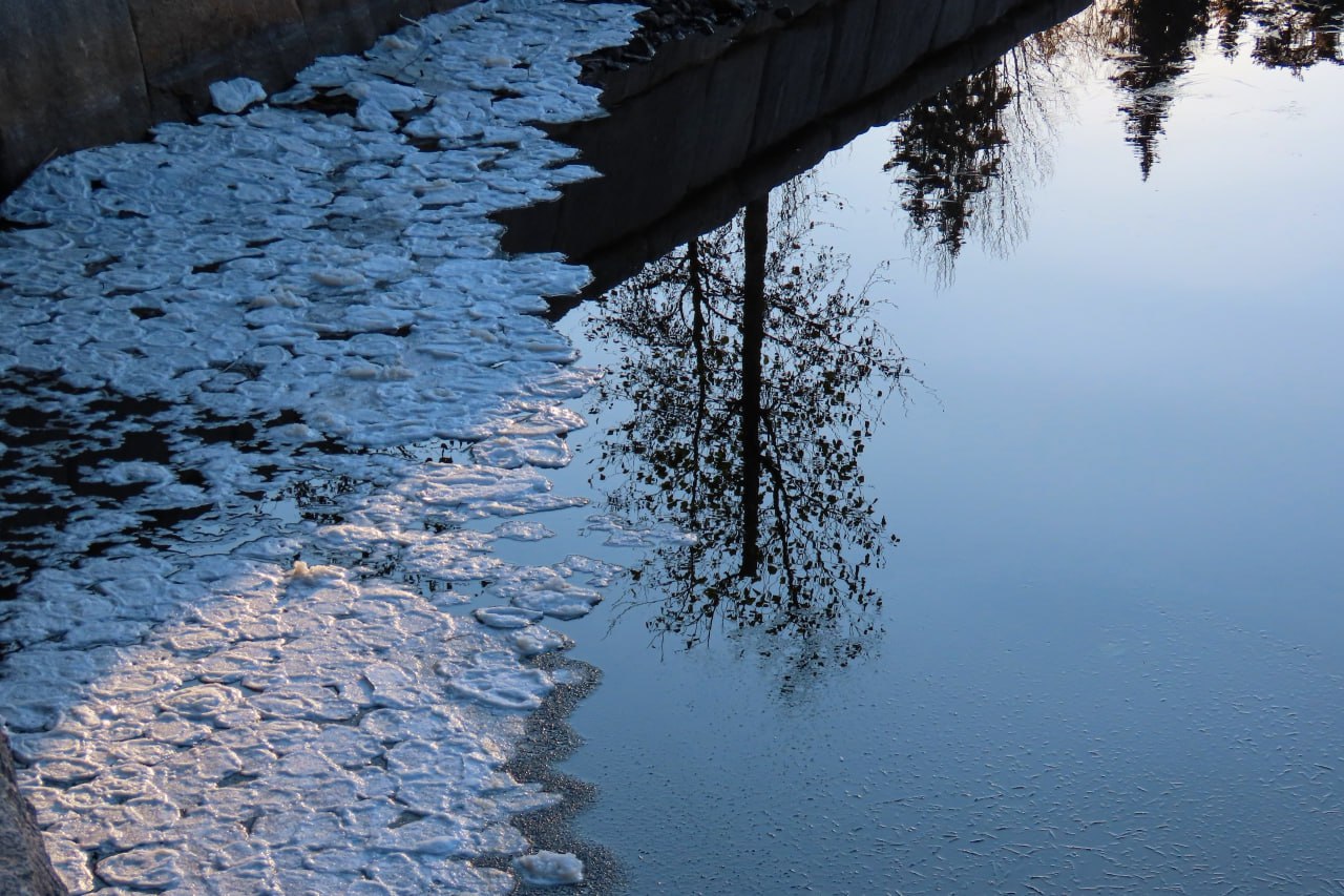 Мороз, ветер и течение "напекли" блинчиков в парке Монрепо в Выборге Мороз, ветер и течение "напекли" блинчиков в парке Монрепо в Выборге