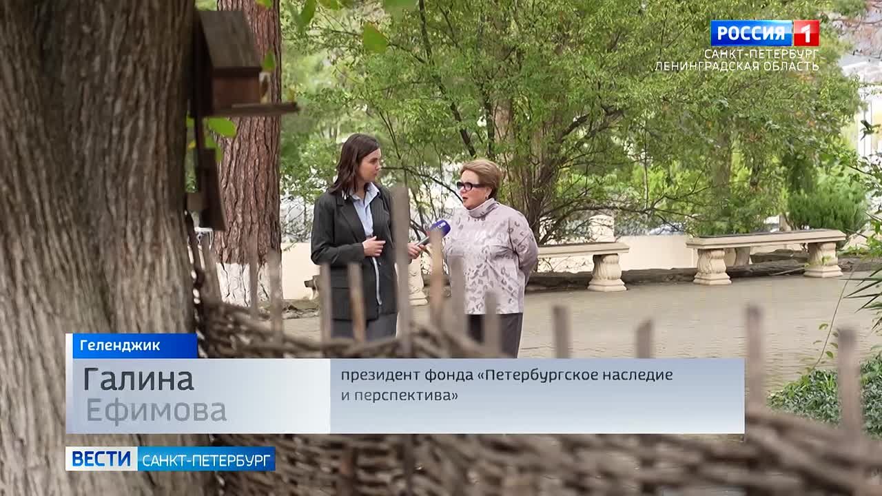 Какими общими проектами связаны Петербург и Геленджик