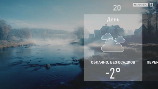 Перед дождем. Заунывный ветер гонит