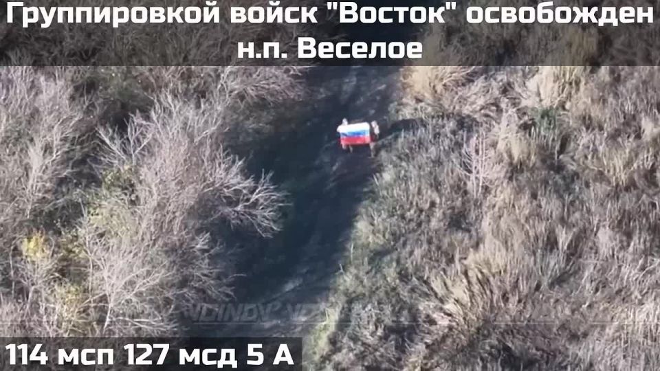 Александр Коц: Российская армия освободила Веселое
