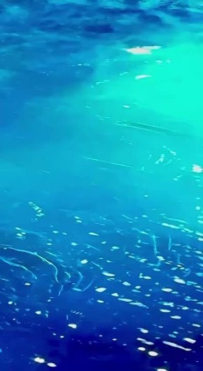 Марат Баширов: В Гонконге уже новогоднее настроение