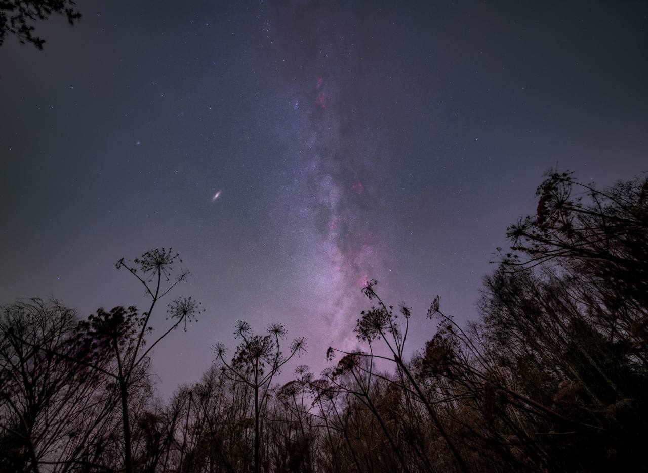 Видели ночь. Едем в зимнее ночное в Мальскую долину