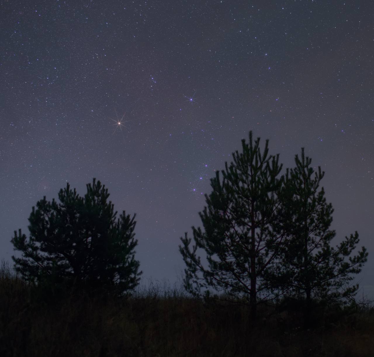 Видели ночь. Едем в зимнее ночное в Мальскую долину Видели ночь. Едем в зимнее ночное в Мальскую долину