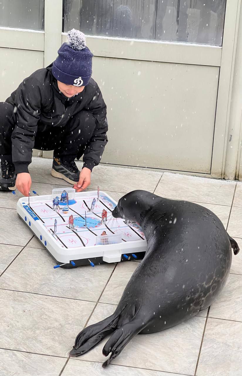 Шлиссик стал символом областного хоккея